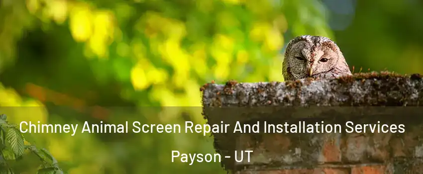  Chimney Animal Screen Repair And Installation Services Payson - UT