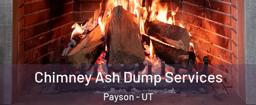  Chimney Ash Dump Services Payson - UT