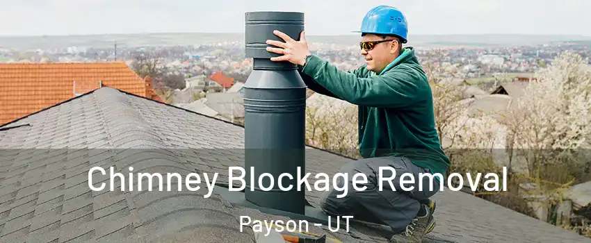  Chimney Blockage Removal Payson - UT