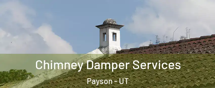  Chimney Damper Services Payson - UT