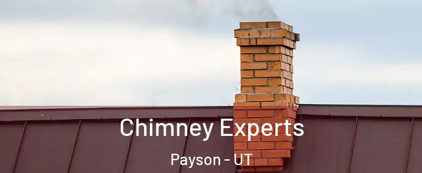  Chimney Experts Payson - UT