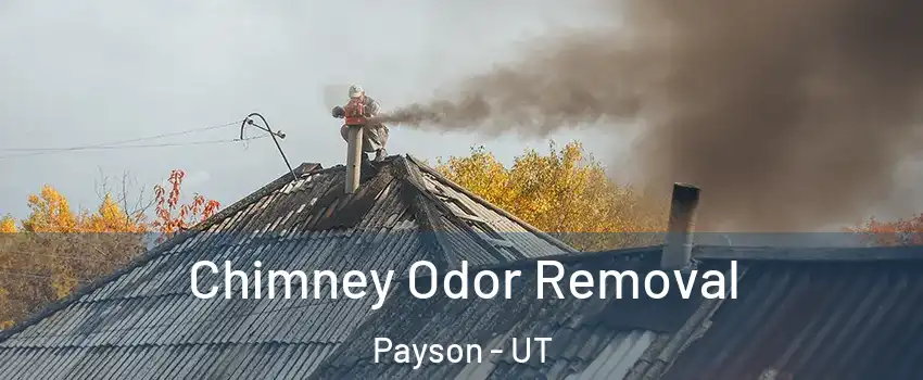  Chimney Odor Removal Payson - UT