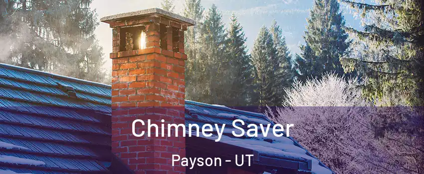  Chimney Saver Payson - UT