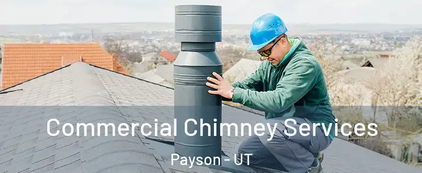  Commercial Chimney Services Payson - UT