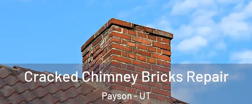 Cracked Chimney Bricks Repair Payson - UT