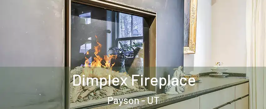  Dimplex Fireplace Payson - UT
