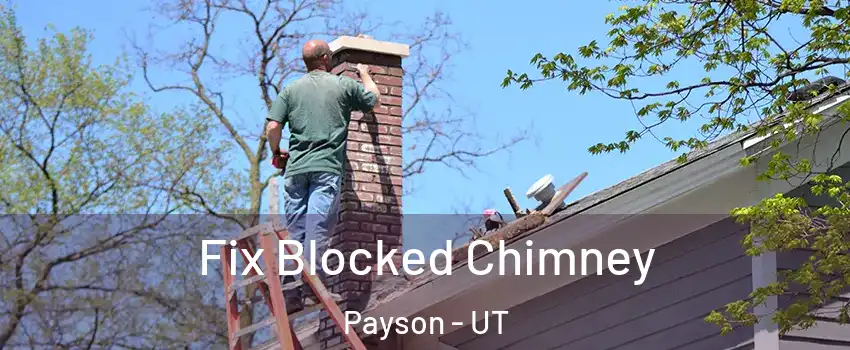  Fix Blocked Chimney Payson - UT