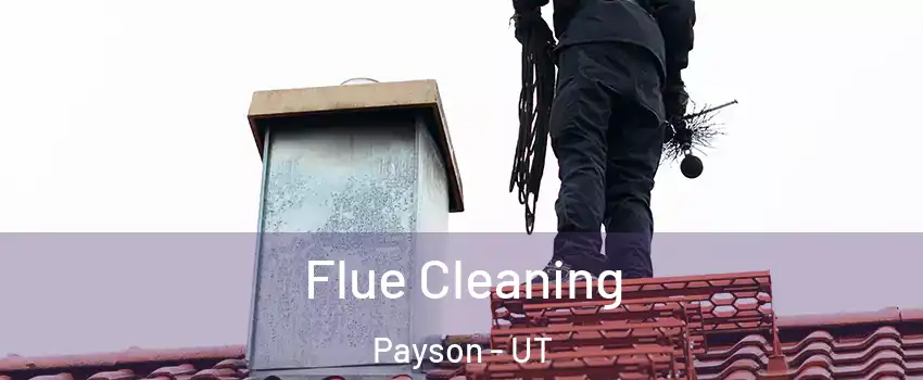  Flue Cleaning Payson - UT