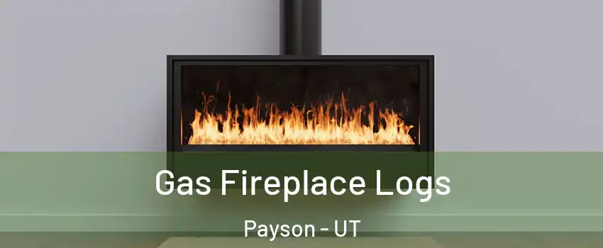  Gas Fireplace Logs Payson - UT