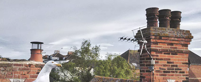 Chimney Cleaning And Restoration in Payson, Utah