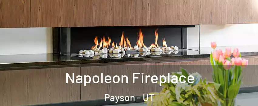  Napoleon Fireplace Payson - UT